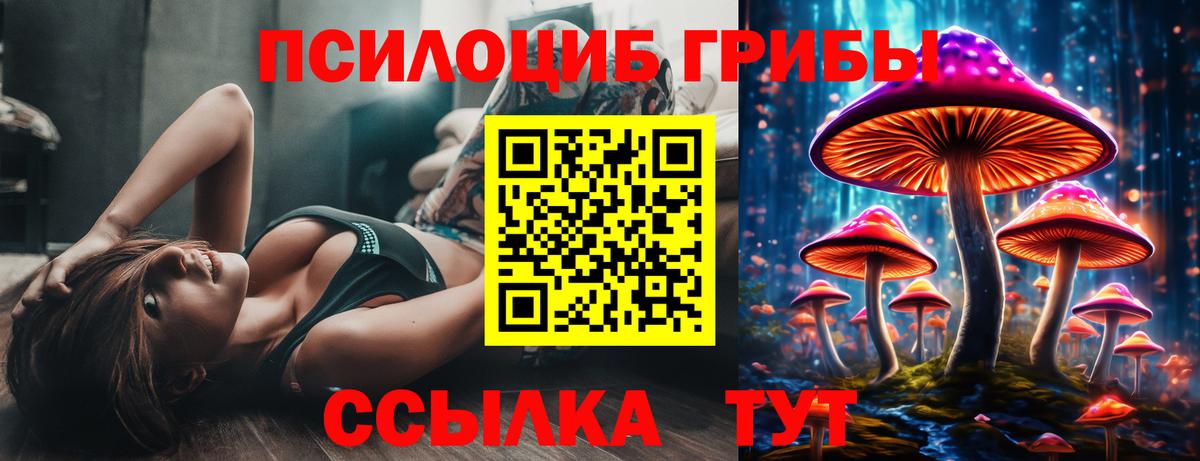 Норильск  Псилоцибиновые грибы Psilocybine cubensis  Вход с VPN 