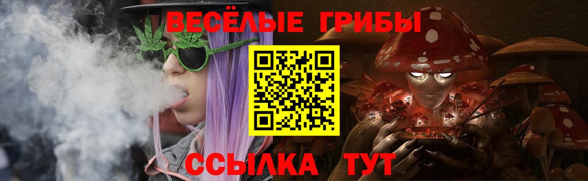 Галлюциногенные грибы мицелий Норильск
